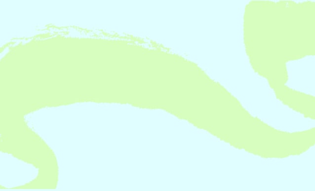 Drunk Elephant Gift Cards