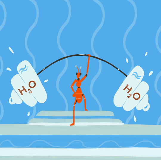 Image for What to Know About Hyaluronic Acid