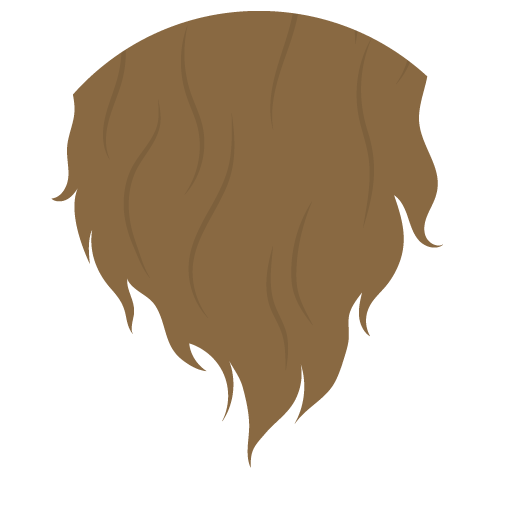 Illustration of brown long wavey hair.