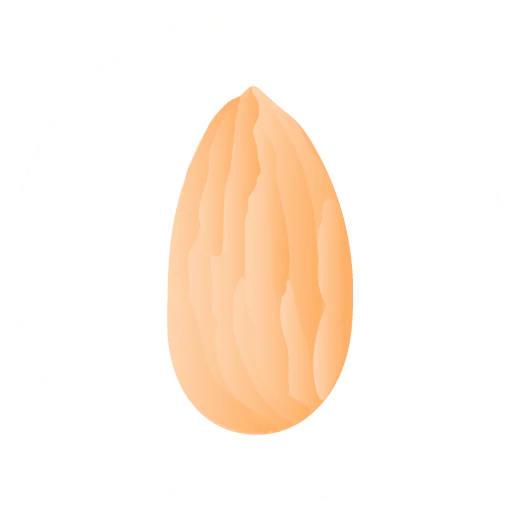 illustration of an orange almond nut