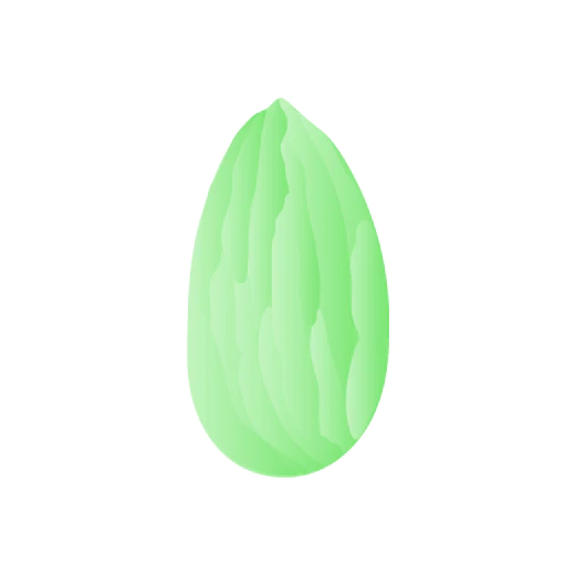Illustration in green of an almond nut