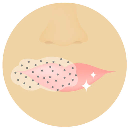 illustration of a person's lips with Slaai and Bamboo Booster on part of them