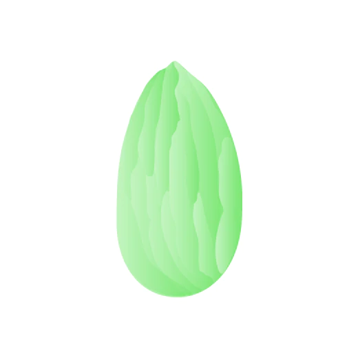 Illustration of green almond.